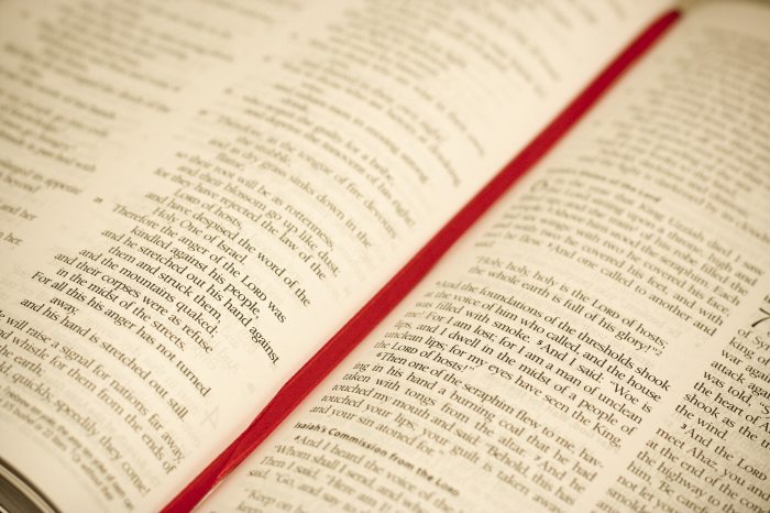 bible-blur-book-267709
